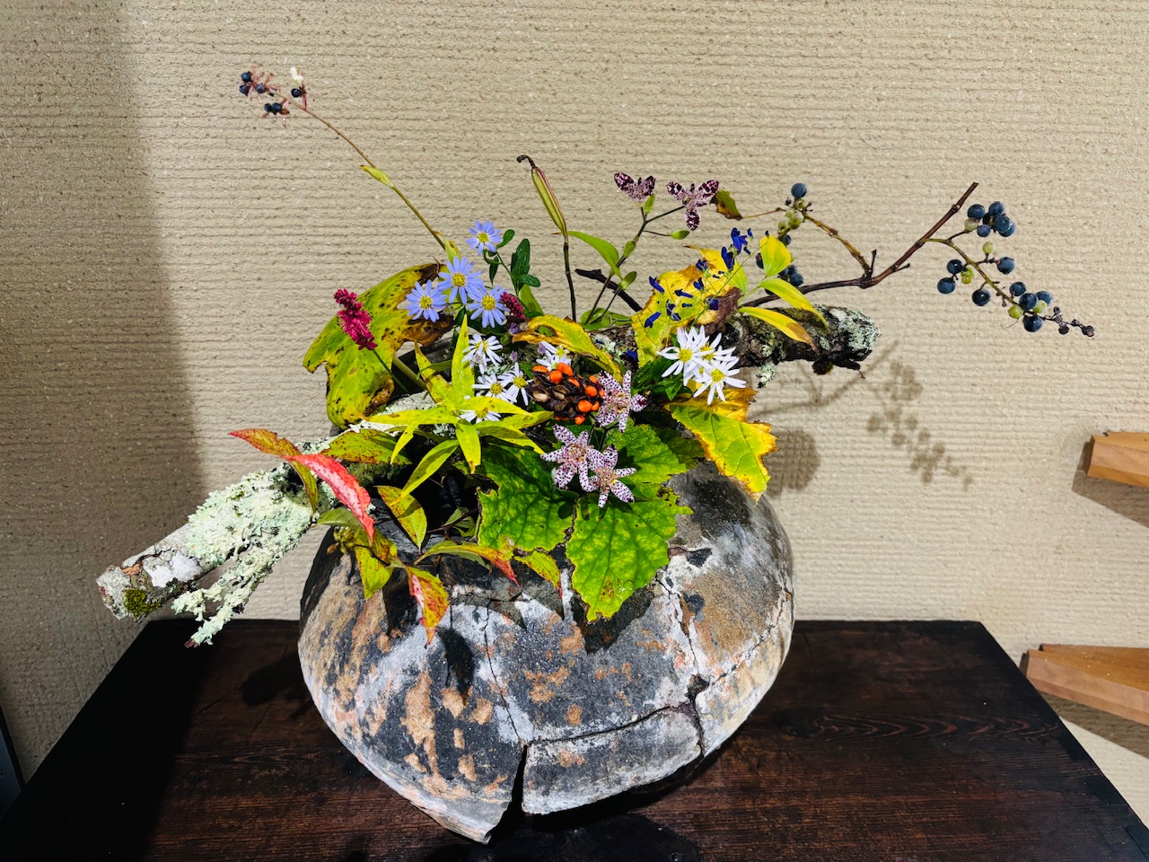 本日のクリニックの花々