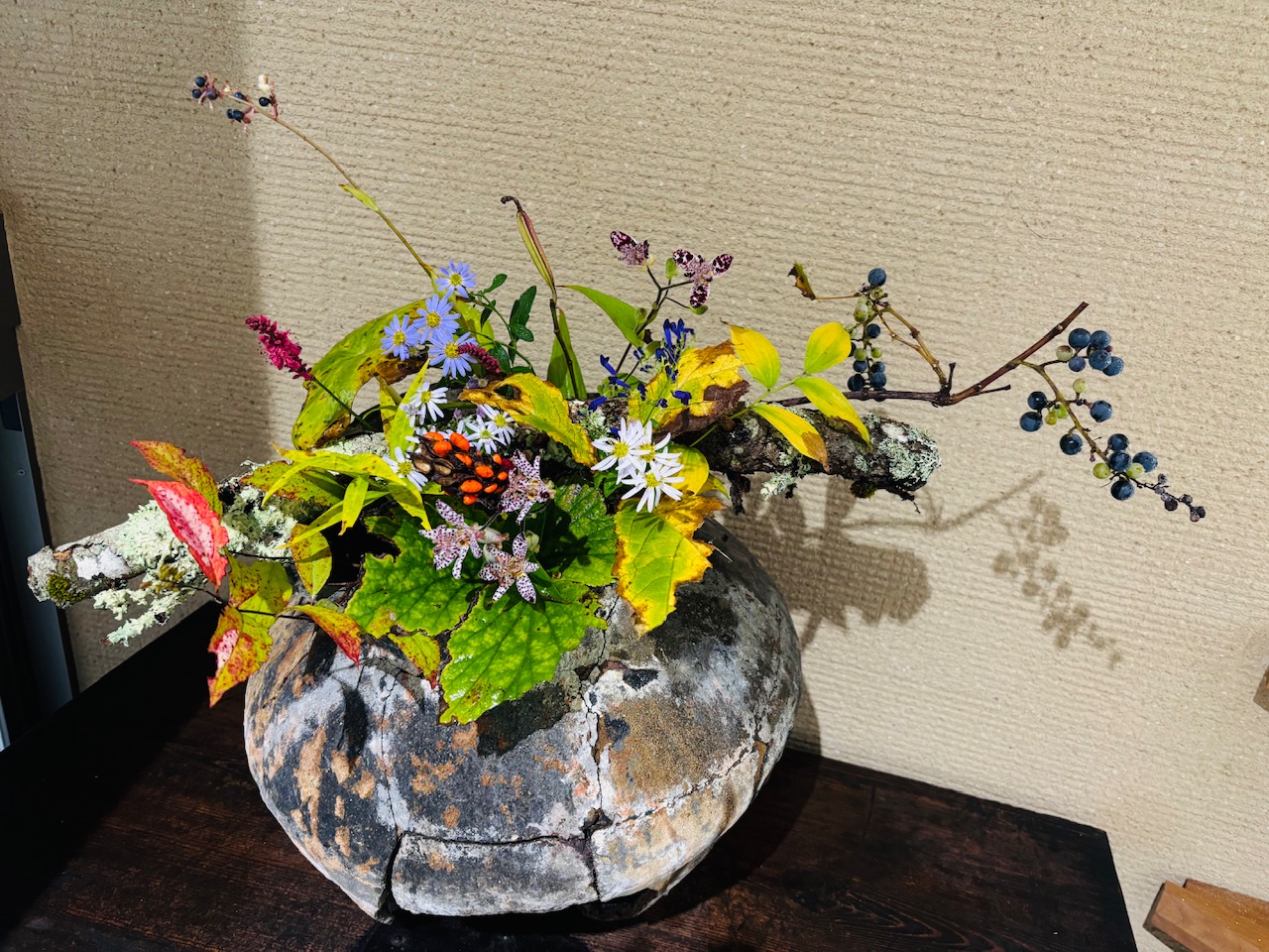 本日のクリニックの花々