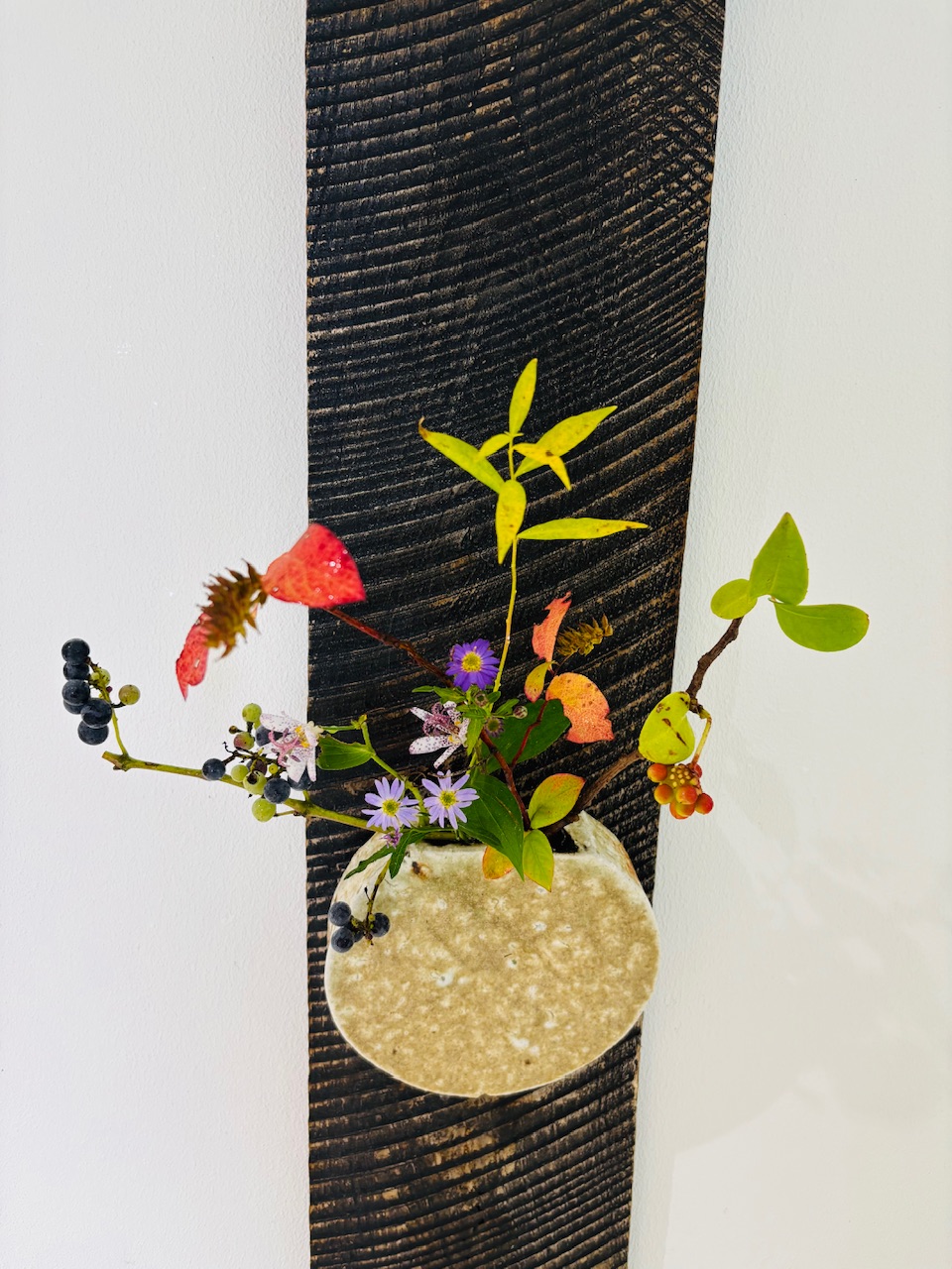 本日のクリニックの花々