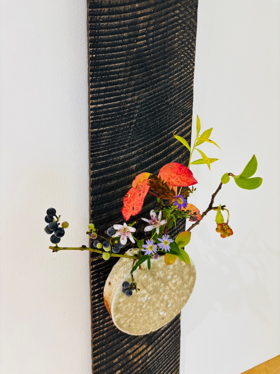 本日のクリニックの花々