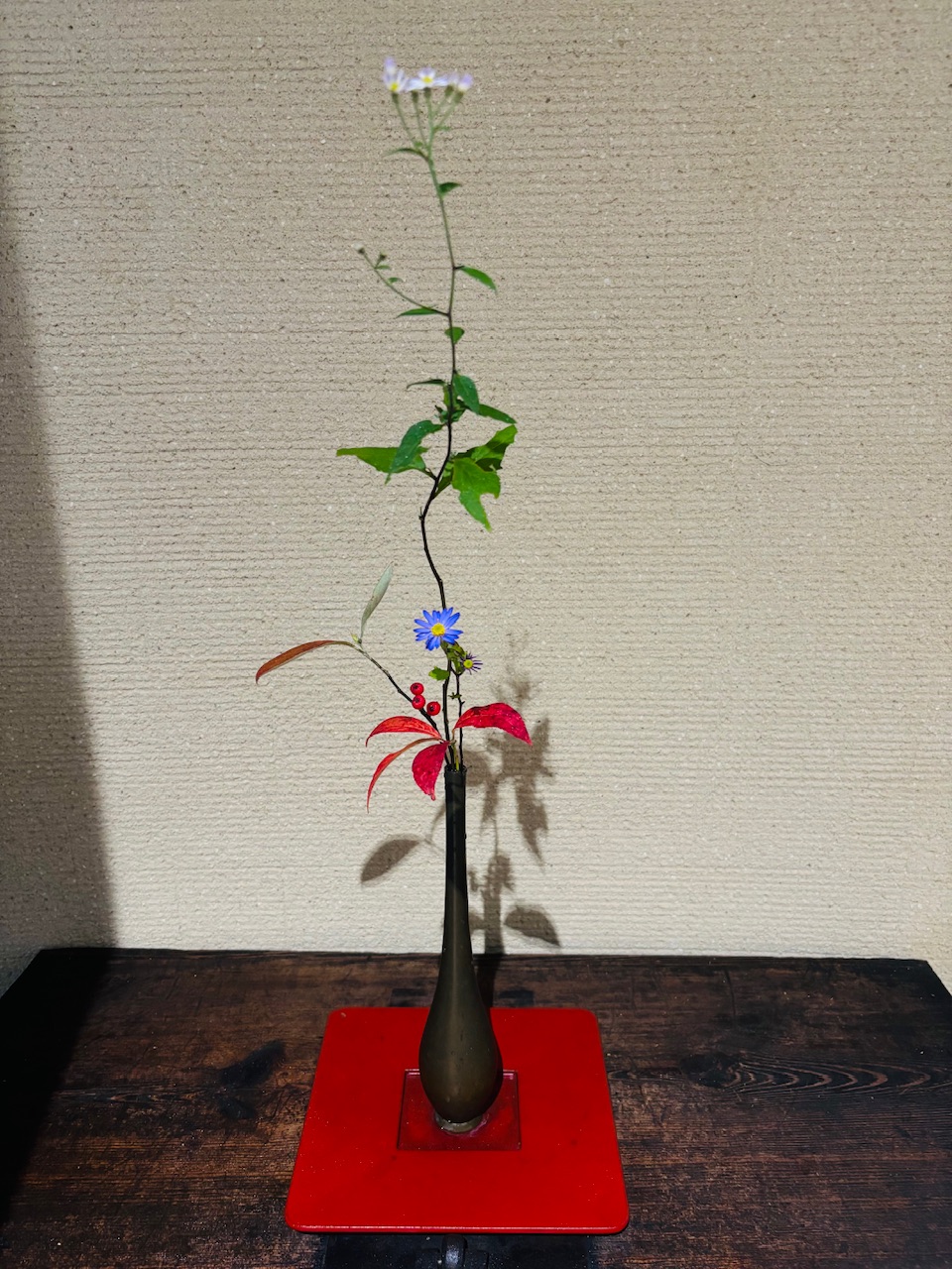 本日のクリニックの花々