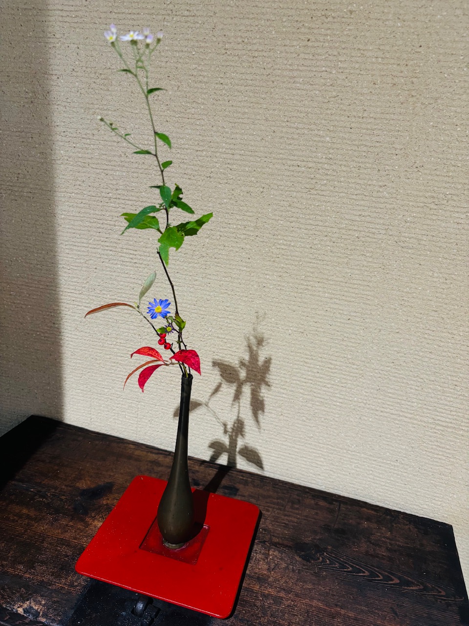 本日のクリニックの花々