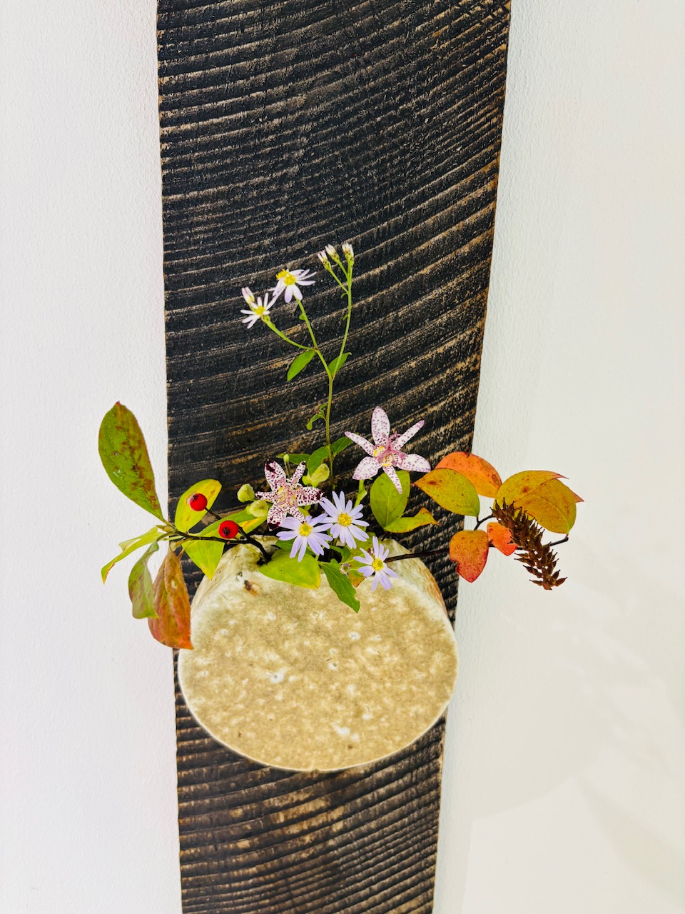本日のクリニックの花々