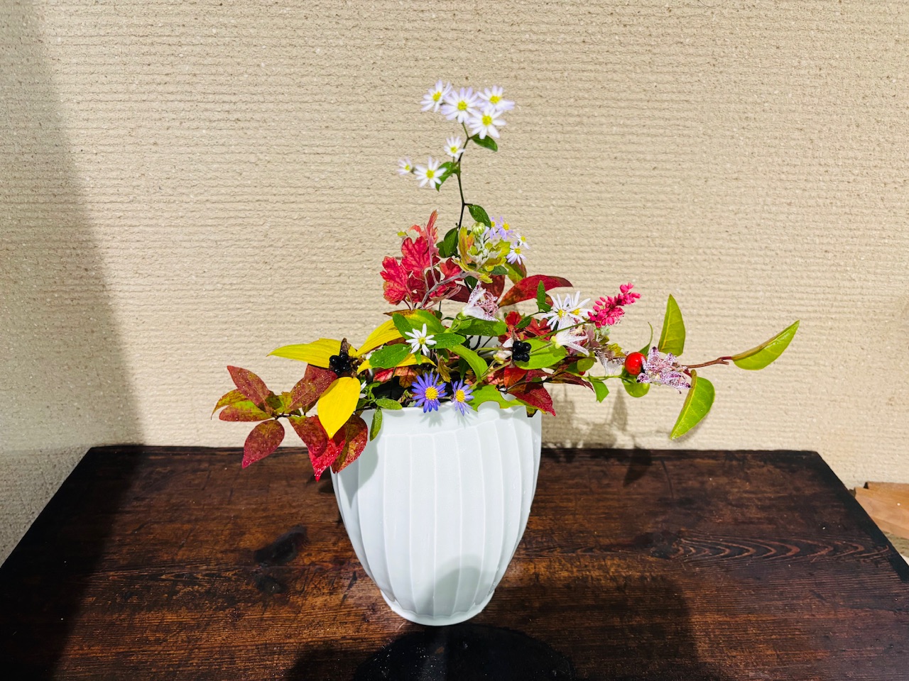 本日のクリニックの花々