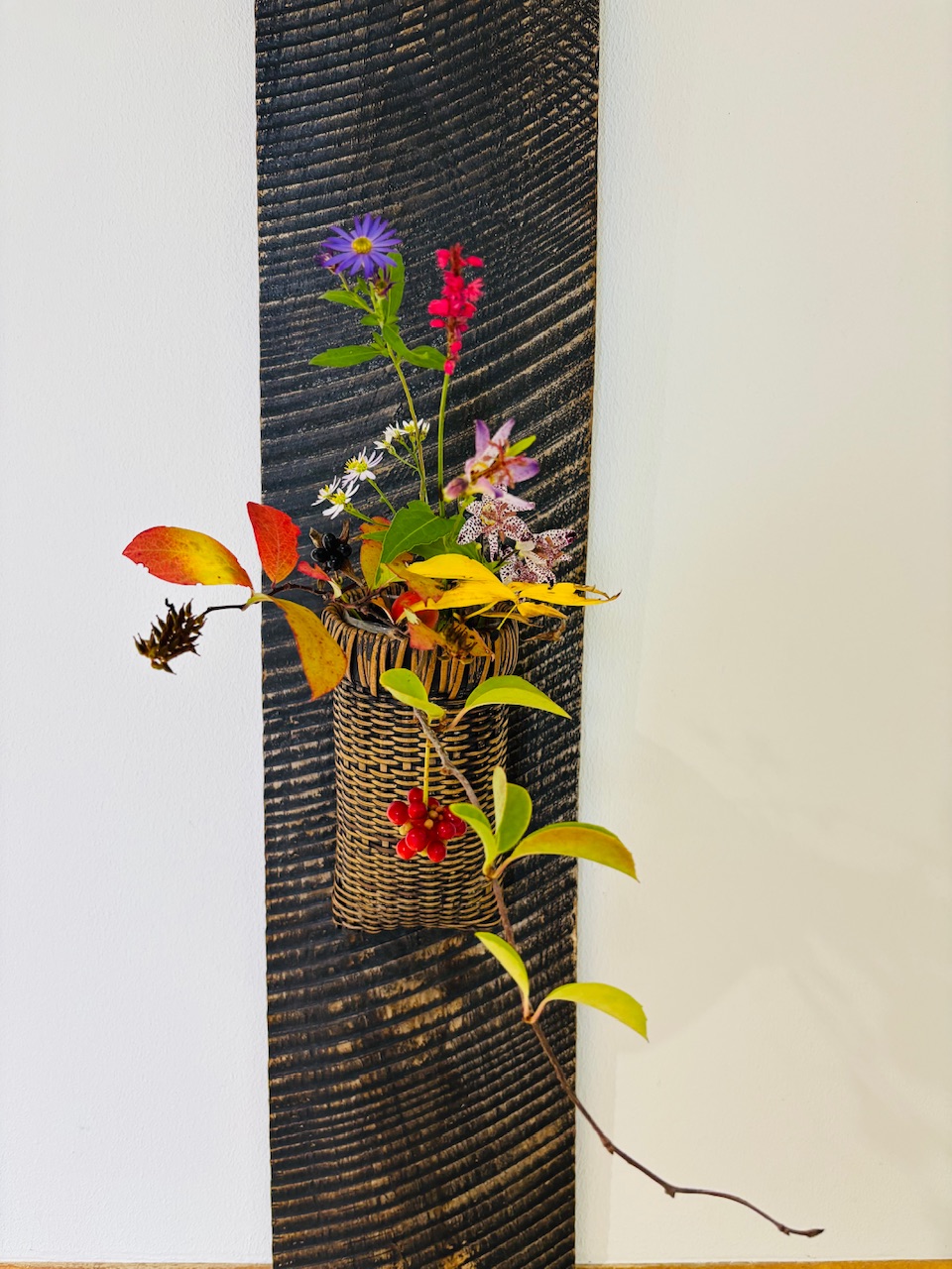 本日のクリニックの花々