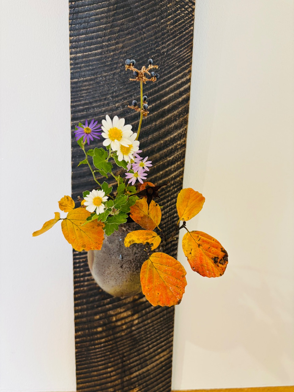 本日のクリニックの花々