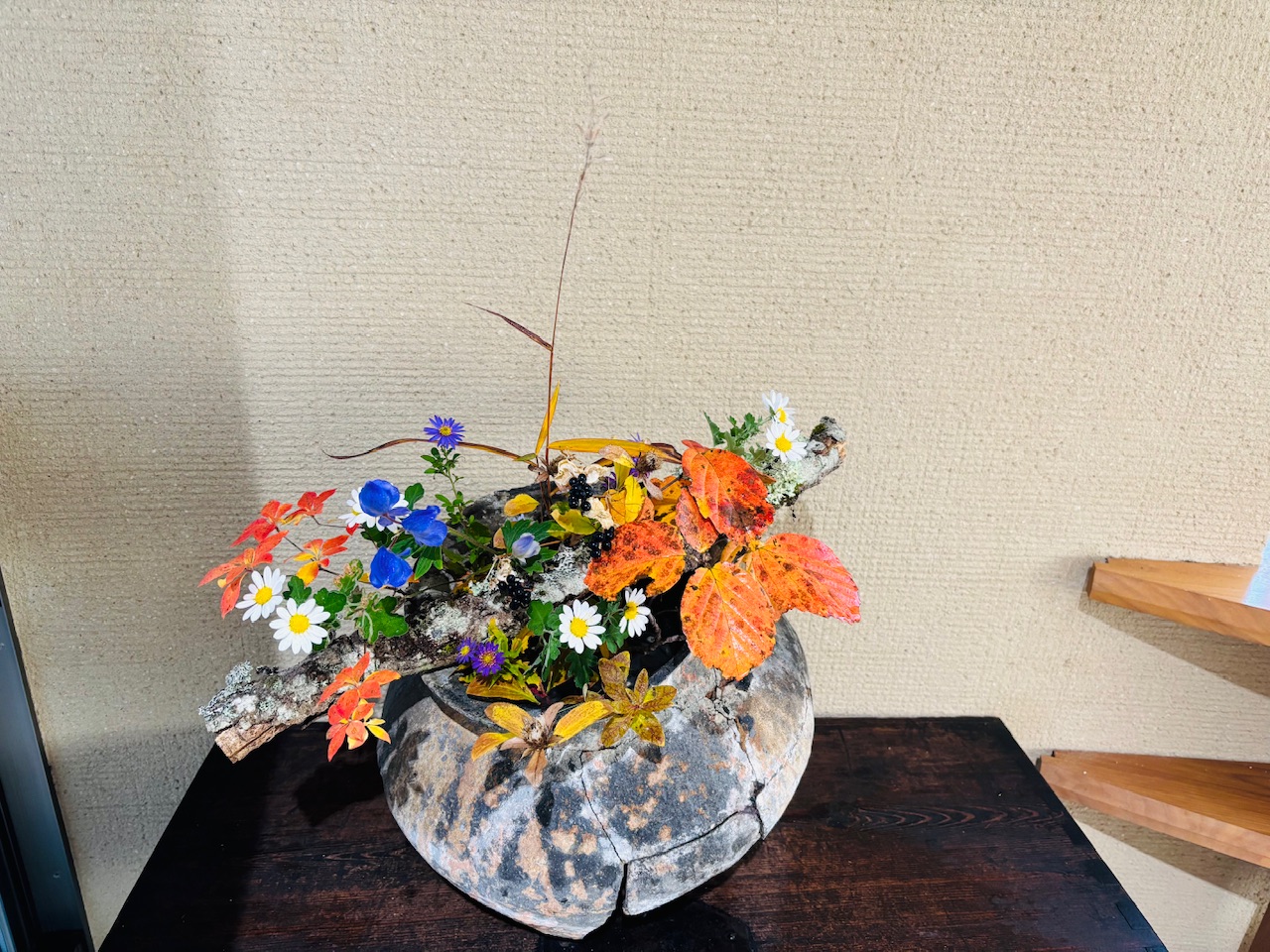 本日のクリニックの花々