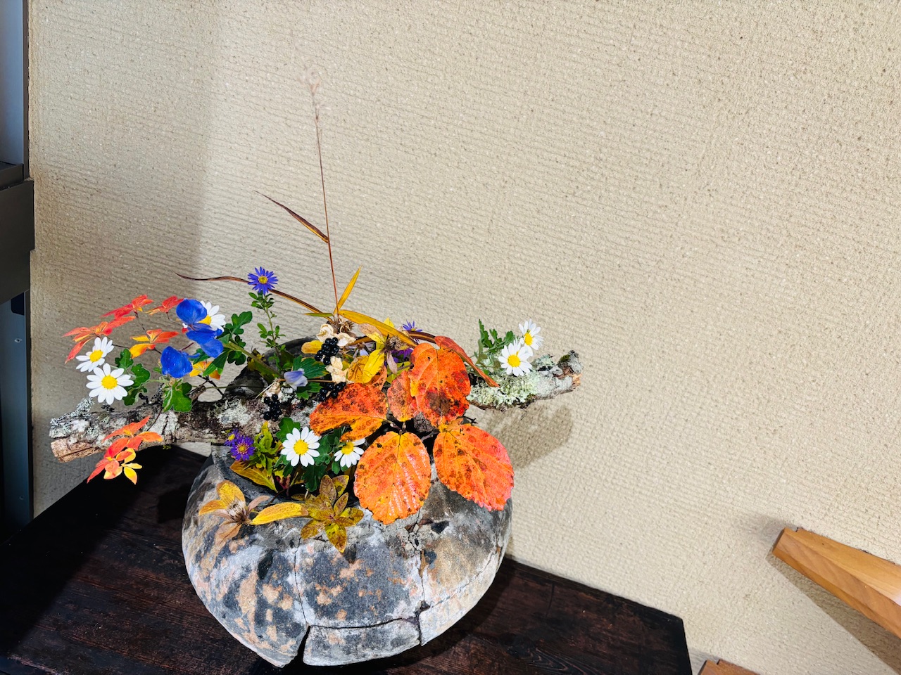 本日のクリニックの花々