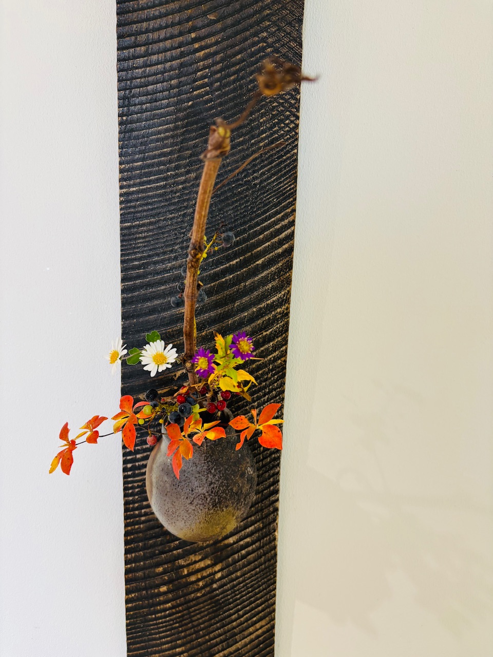 本日のクリニックの花々