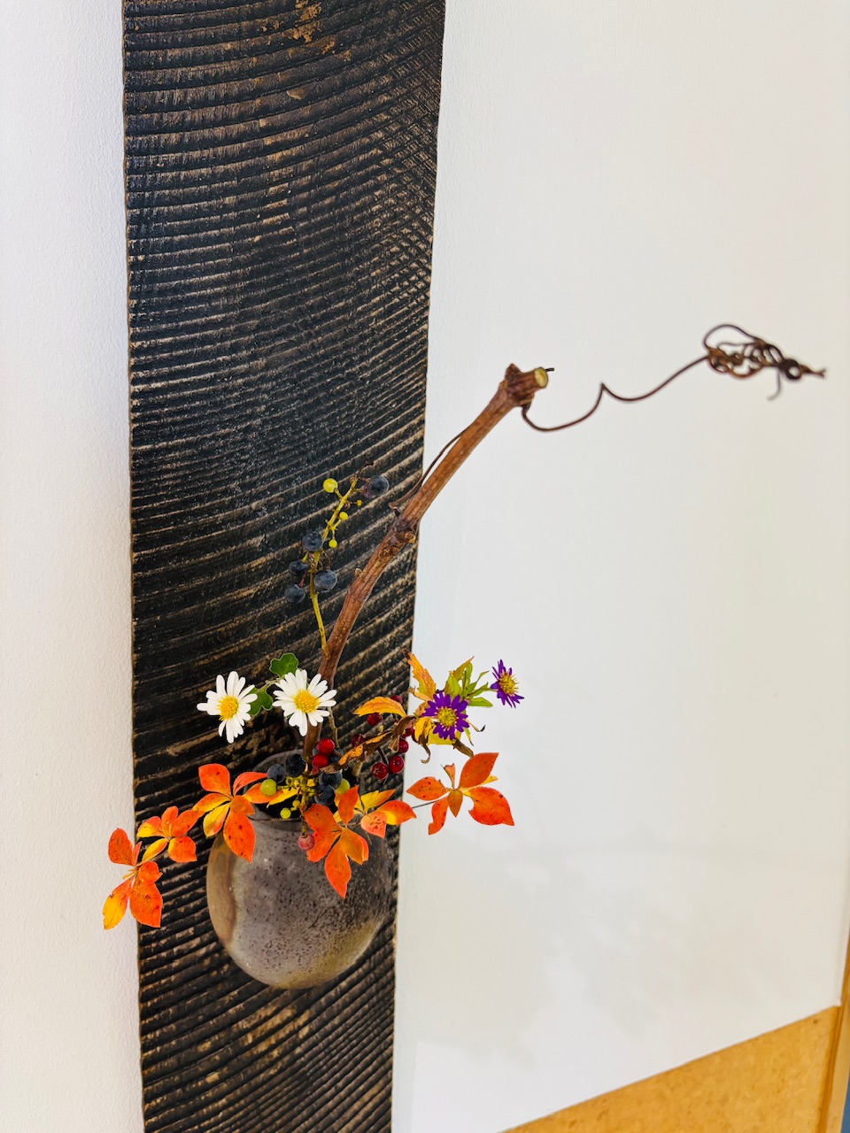 本日のクリニックの花々