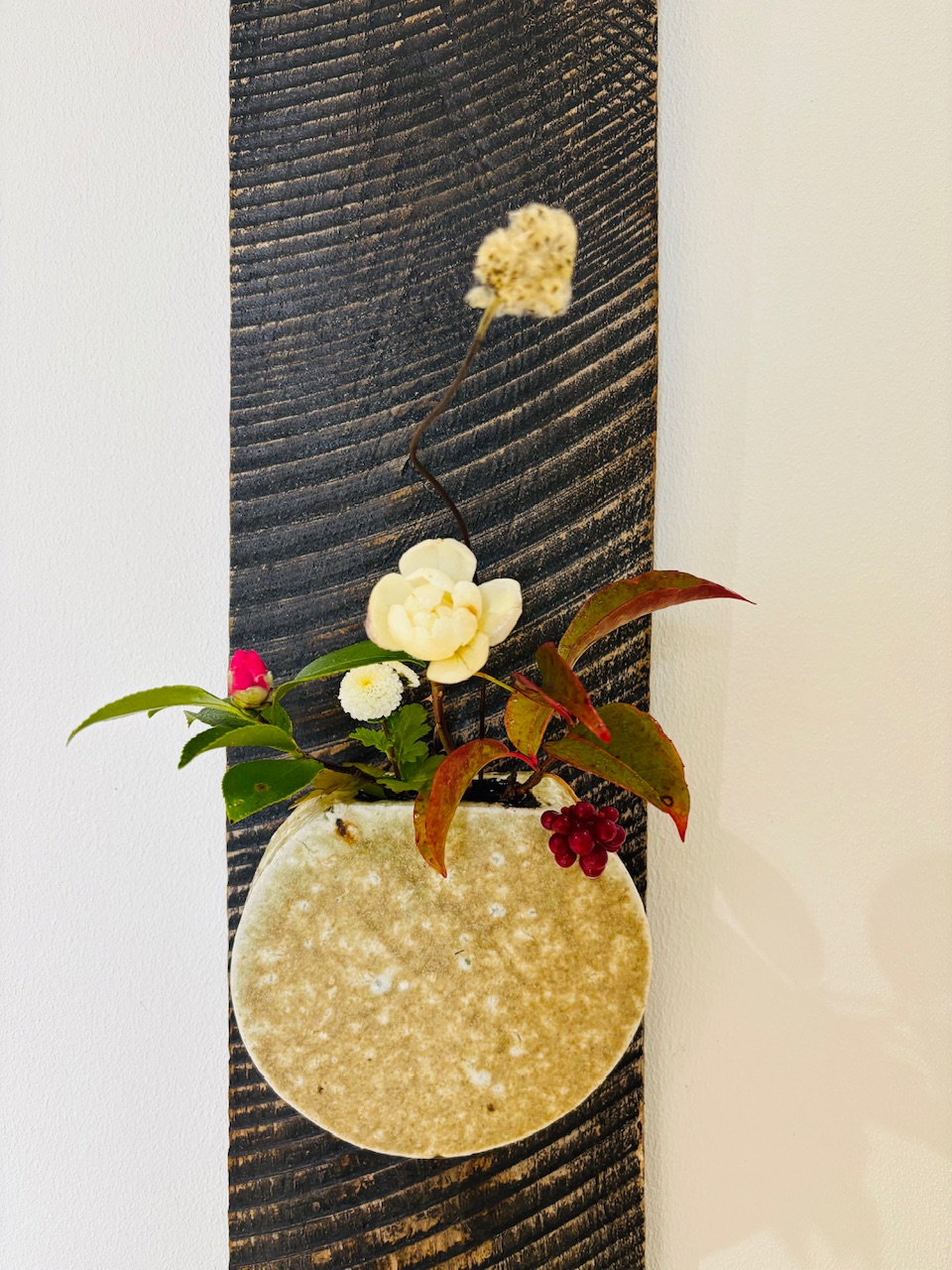 本日のクリニックの花々