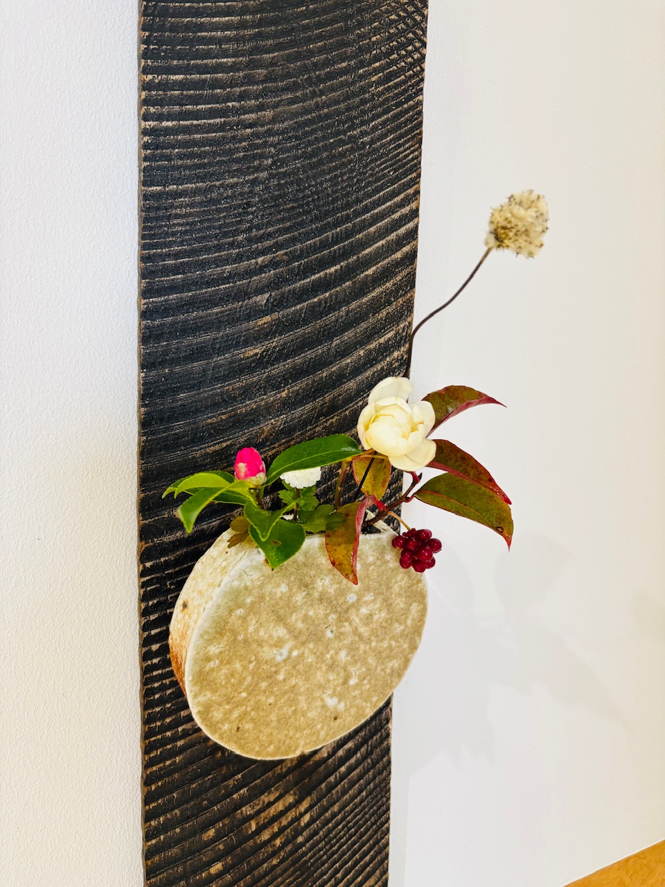 本日のクリニックの花々