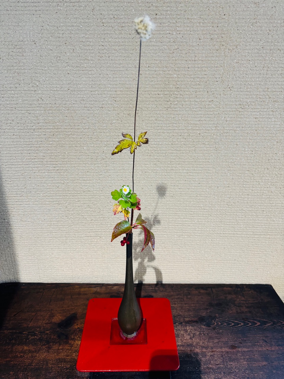 本日のクリニックの花々