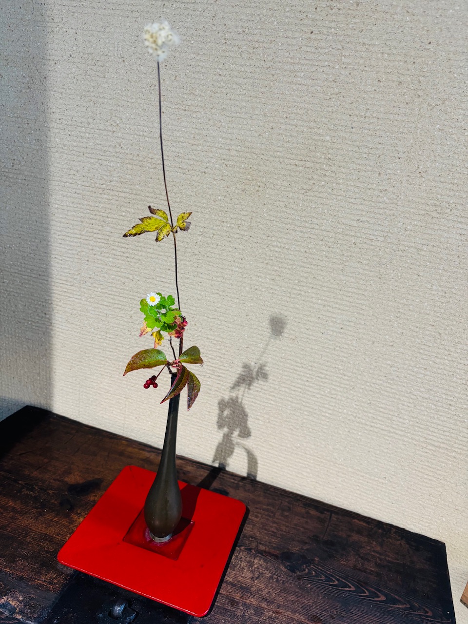 本日のクリニックの花々