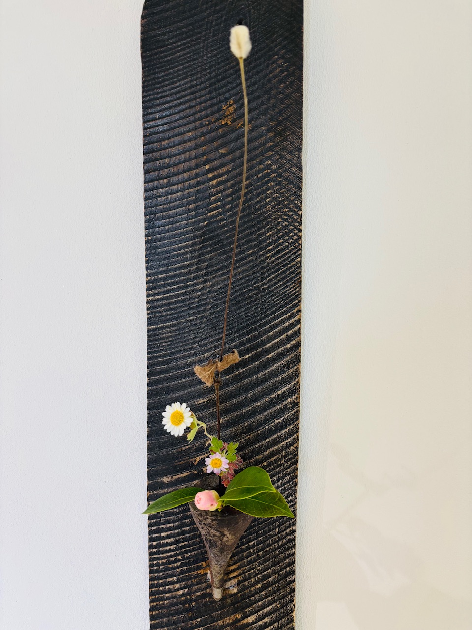 本日のクリニックの花々