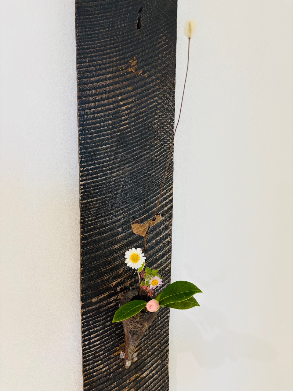 本日のクリニックの花々