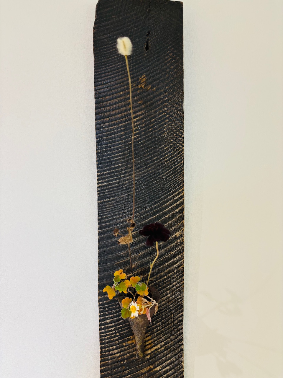 本日のクリニックの花々