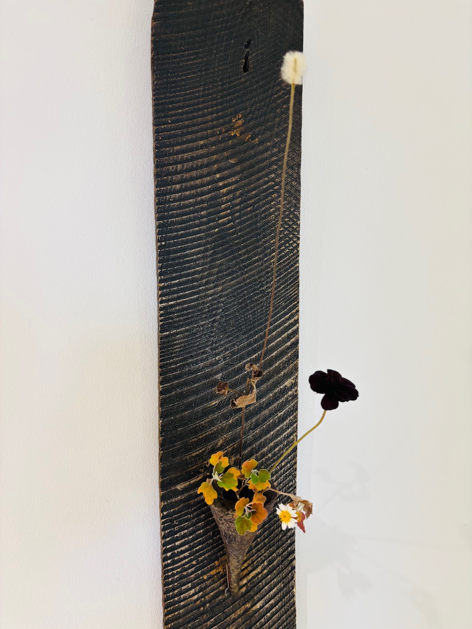 本日のクリニックの花々