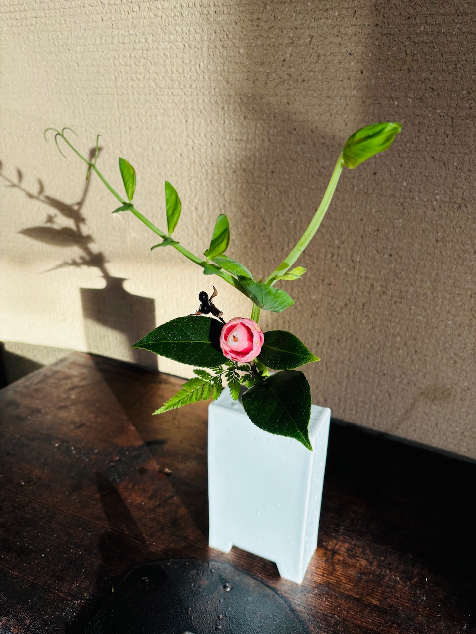 本日のクリニックの花々