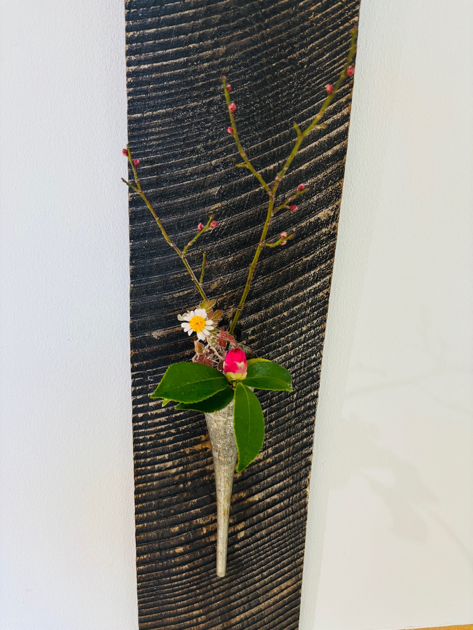 本日のクリニックの花々