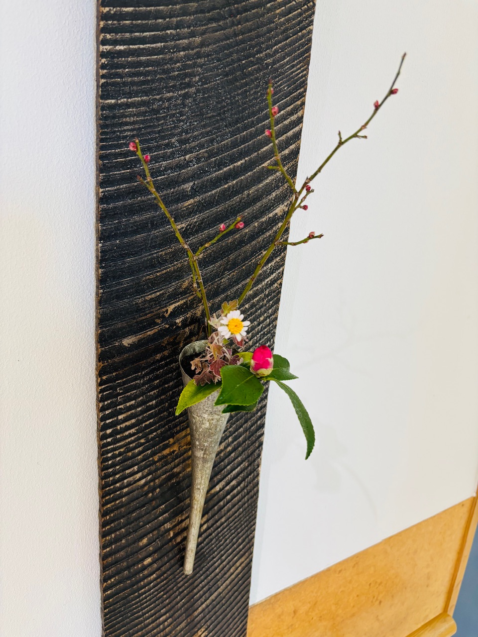 本日のクリニックの花々