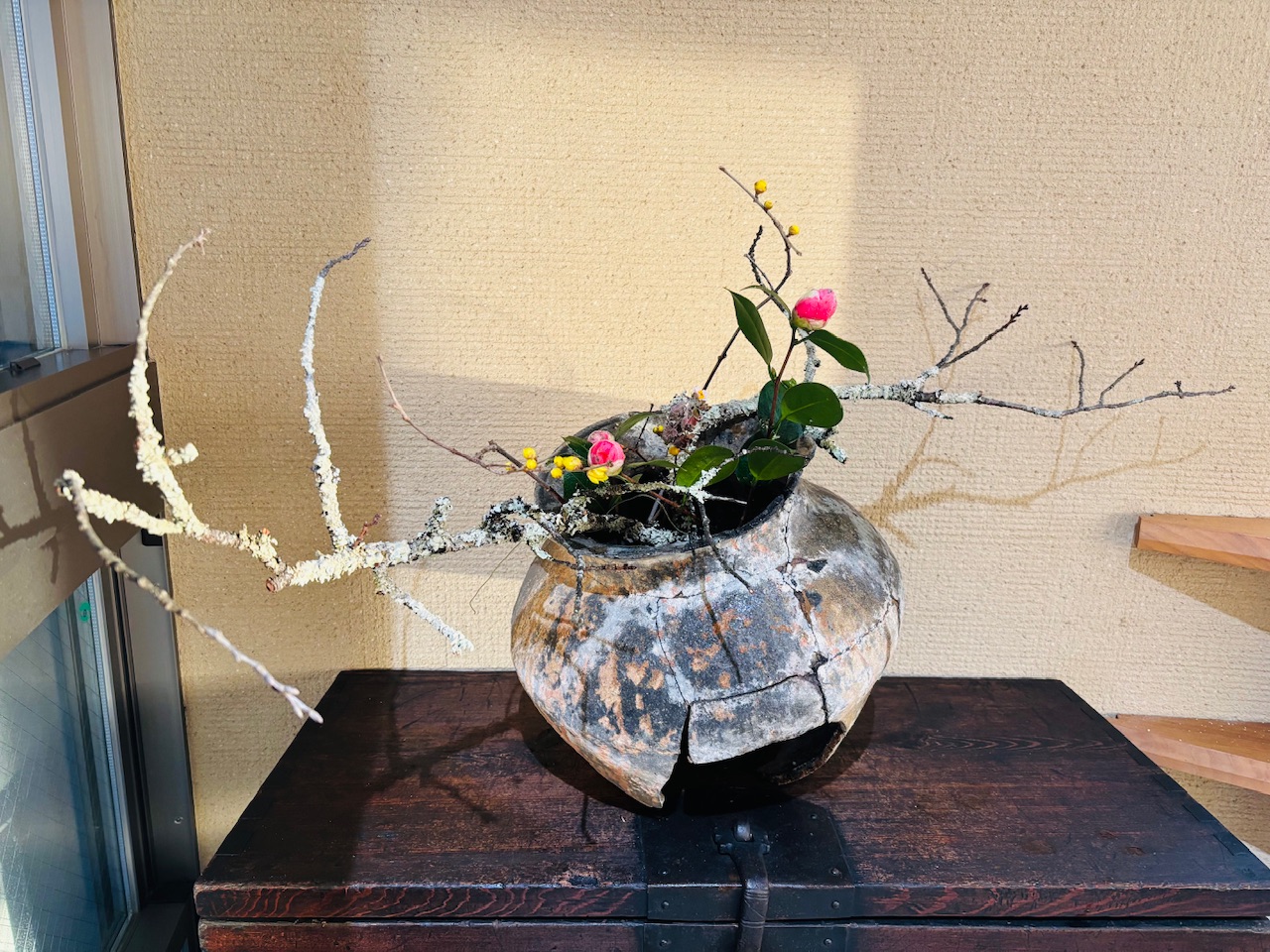 本日のクリニックの花々