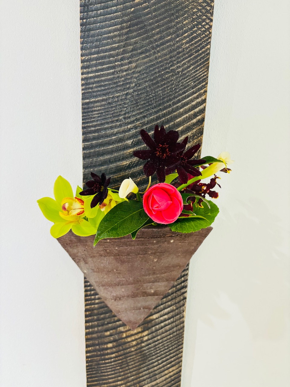 本日のクリニックの花々