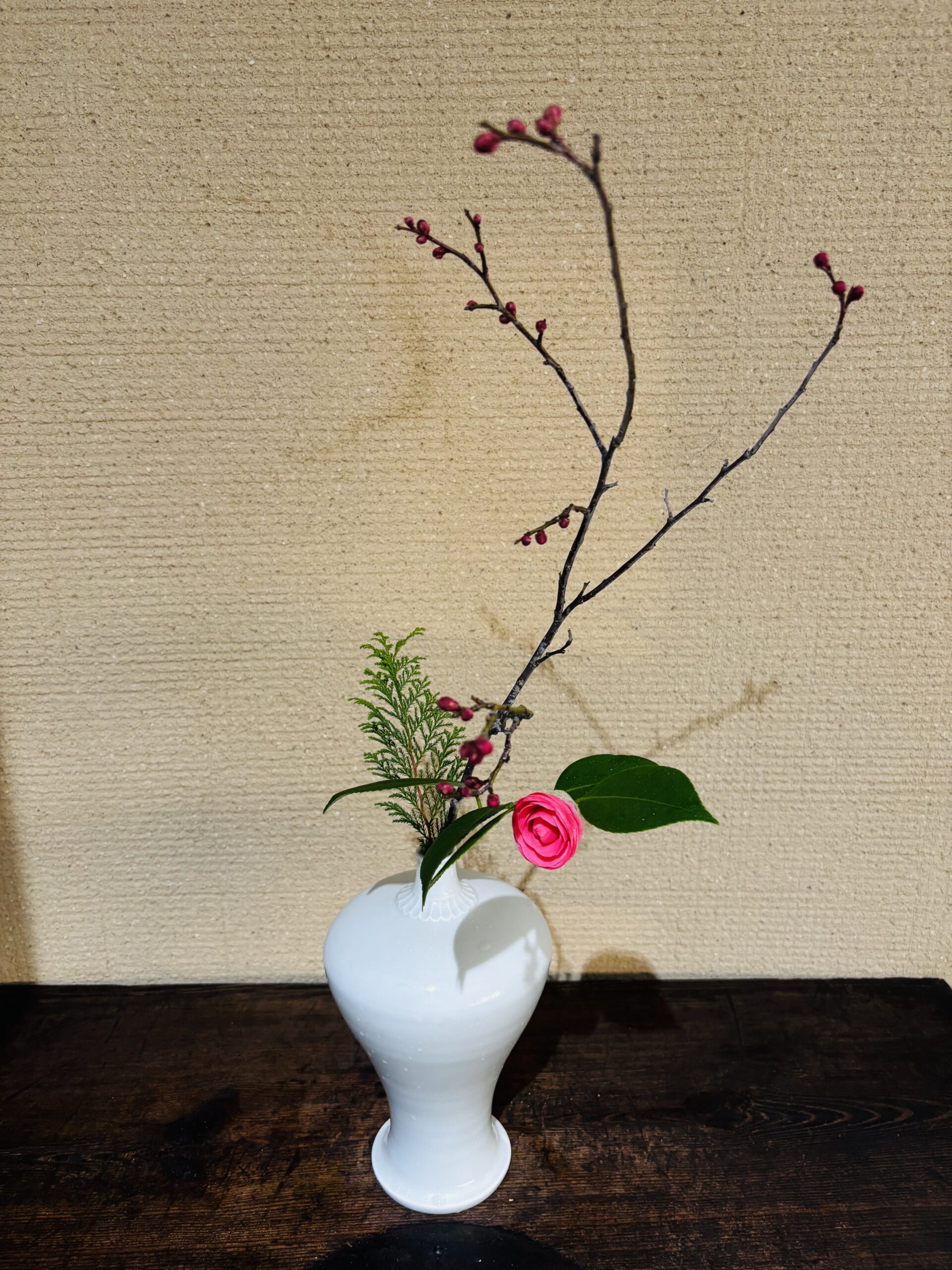 本日のクリニックの花々