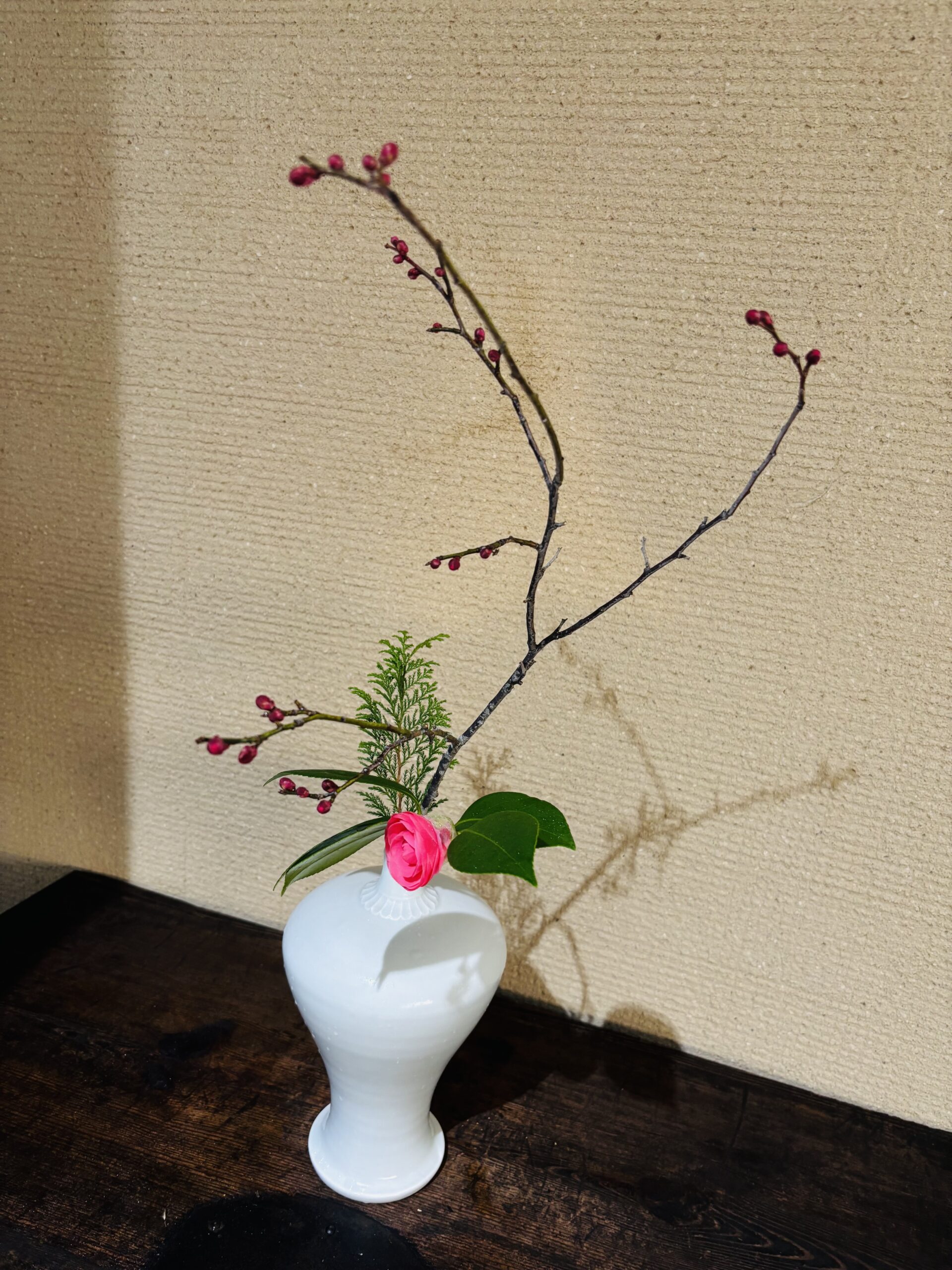 本日のクリニックの花々