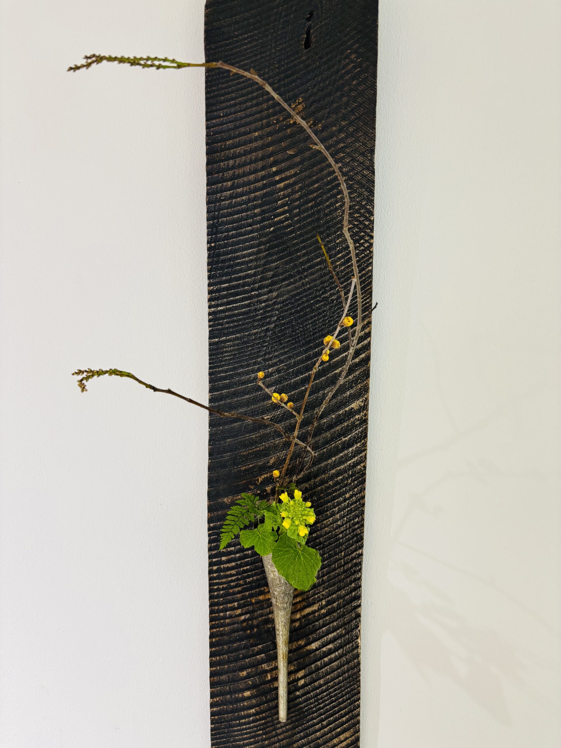 本日のクリニックの花々