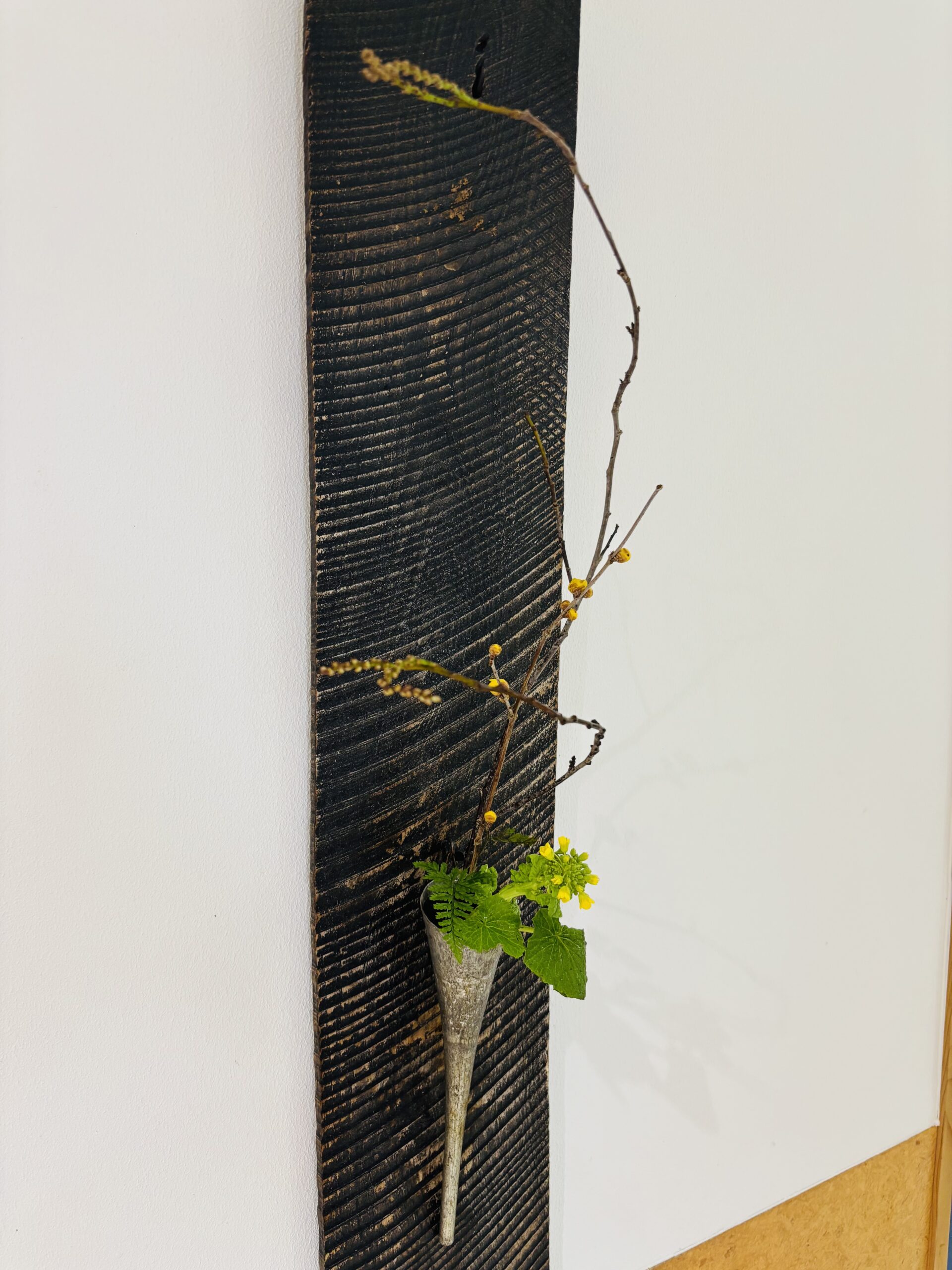 本日のクリニックの花々