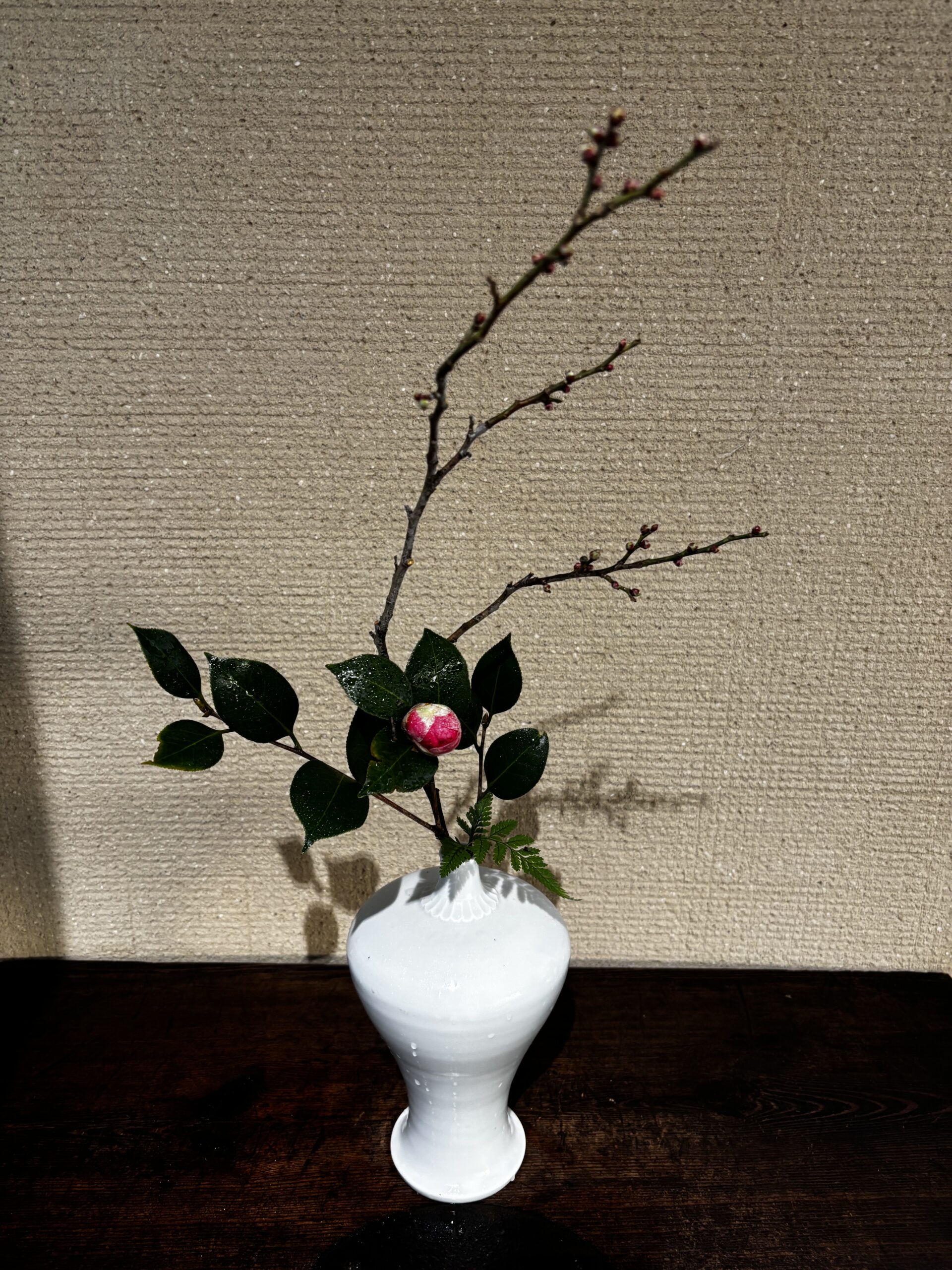 本日のクリニックの花々