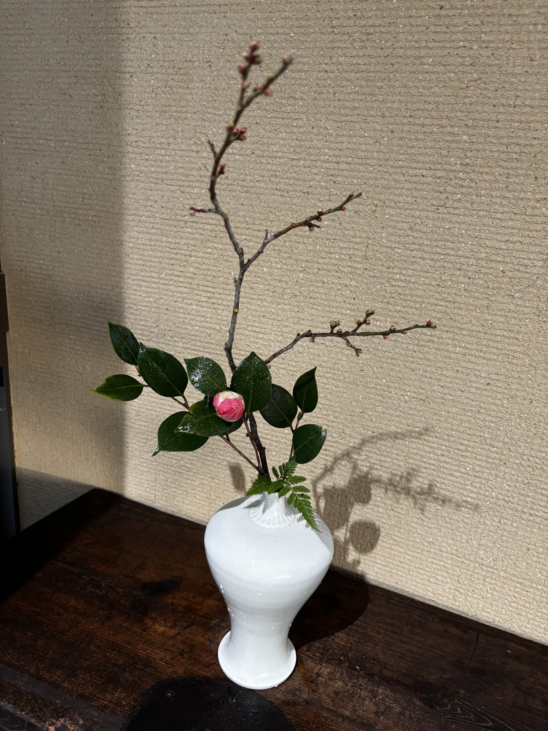 本日のクリニックの花々