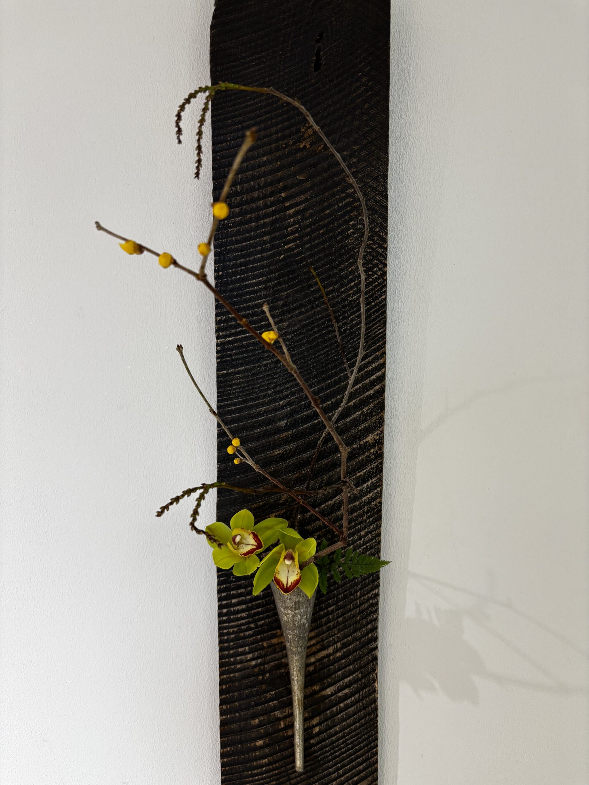 本日のクリニックの花々