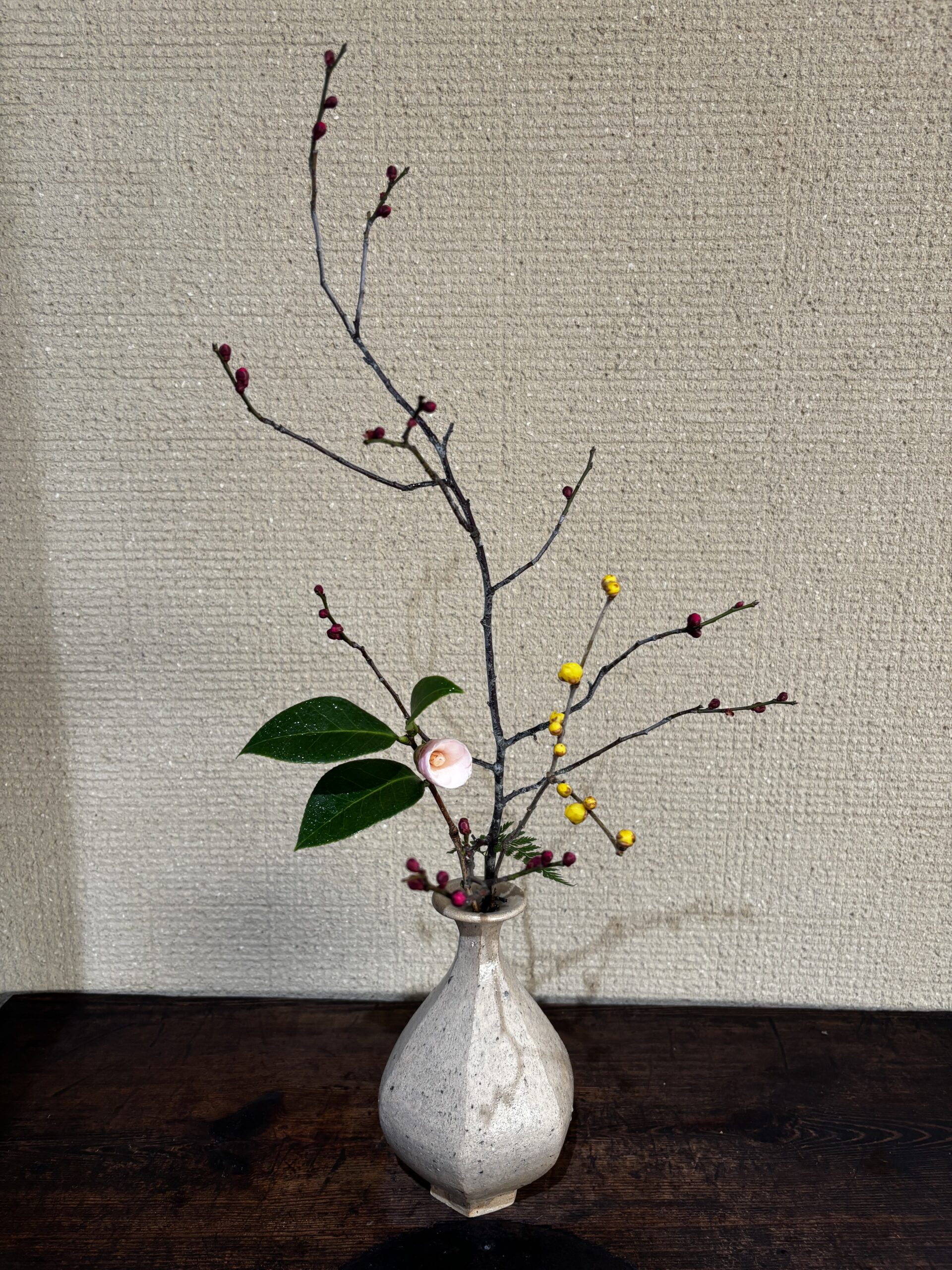 本日のクリニックの花々