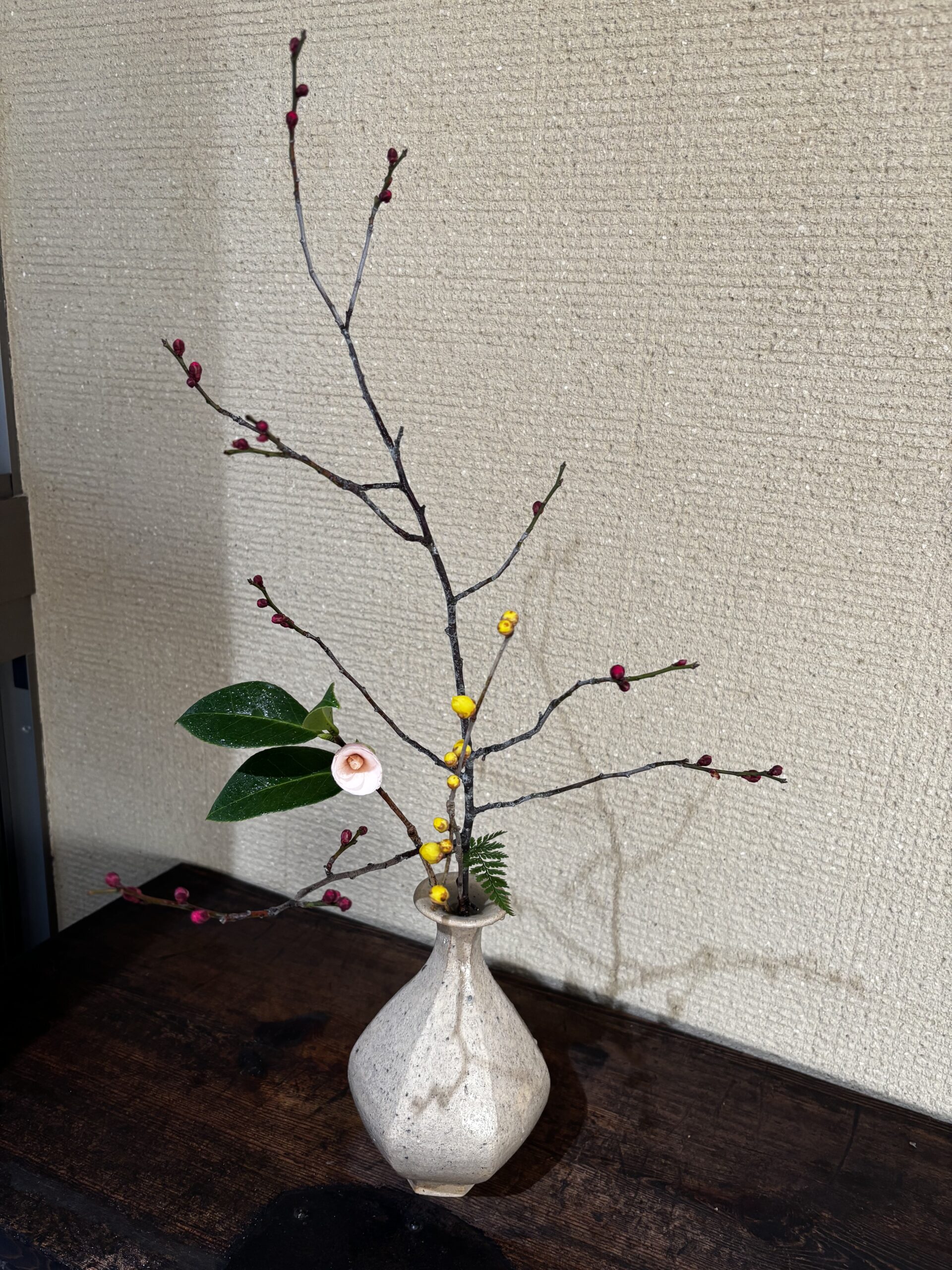 本日のクリニックの花々