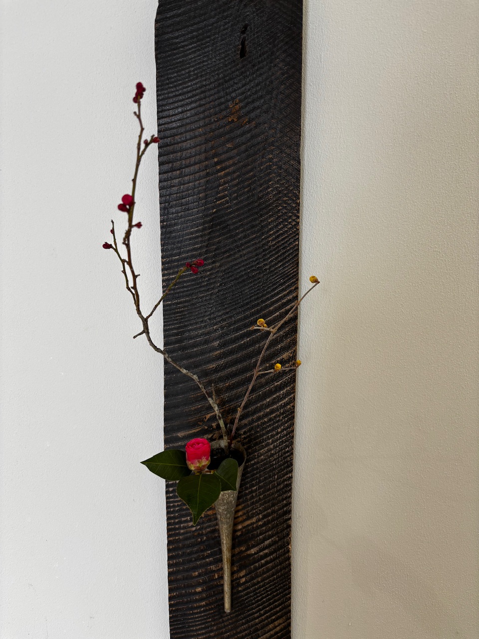 本日のクリニックの花々