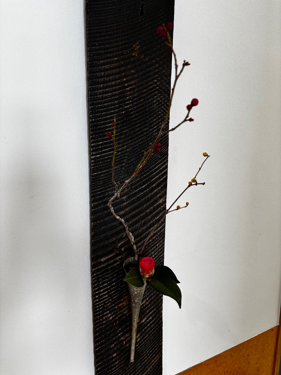 本日のクリニックの花々