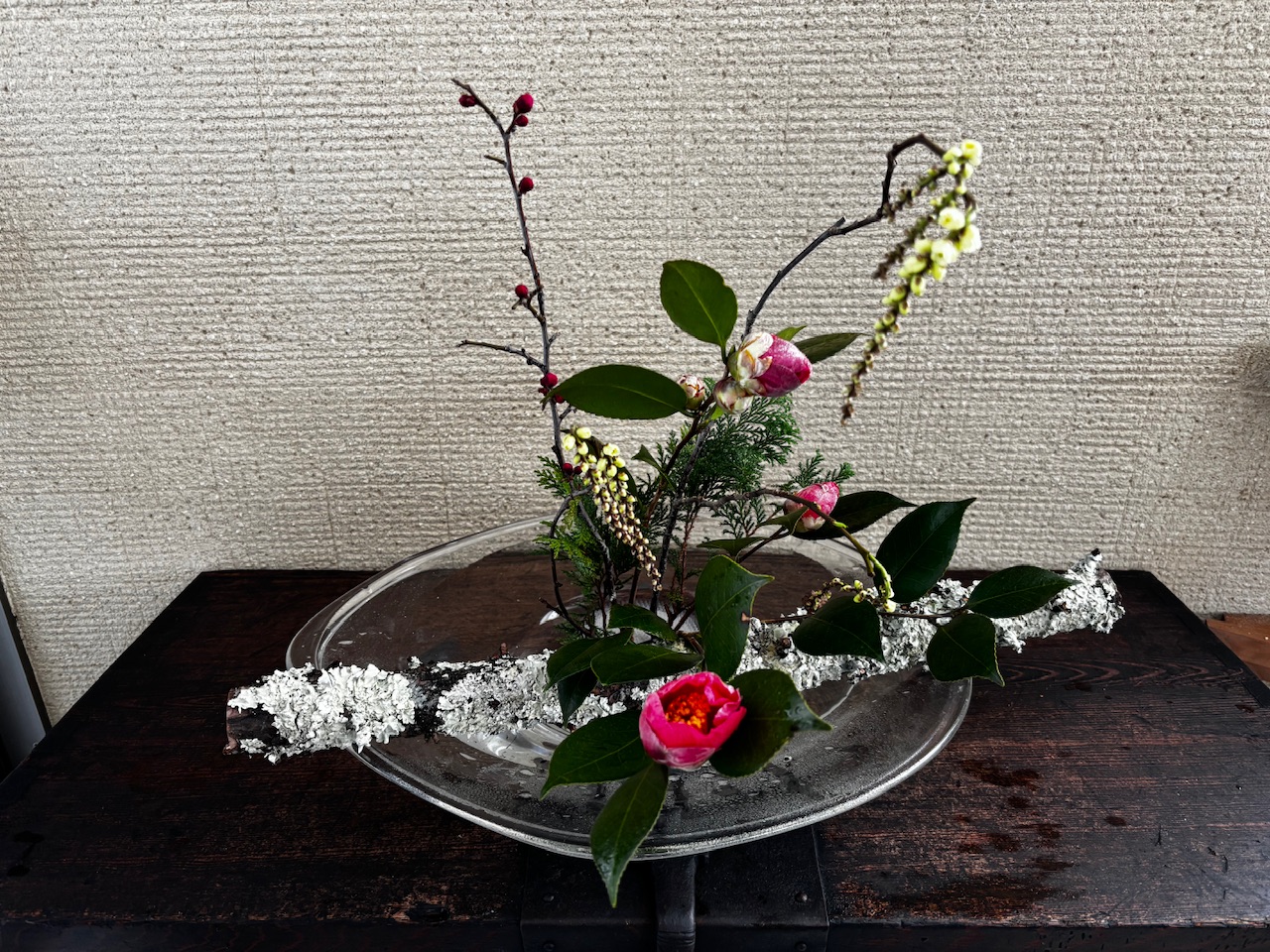 本日のクリニックの花々