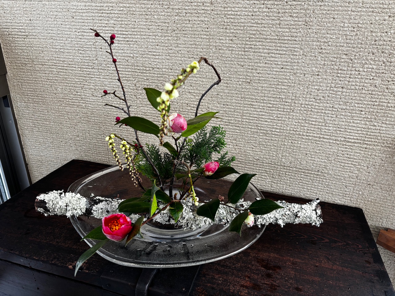 本日のクリニックの花々