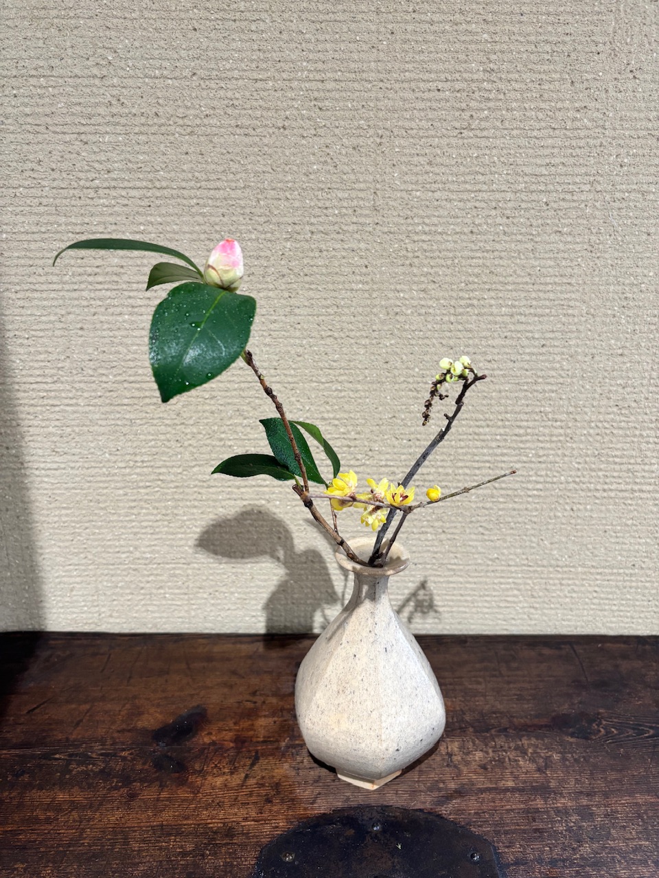 本日のクリニックの花々