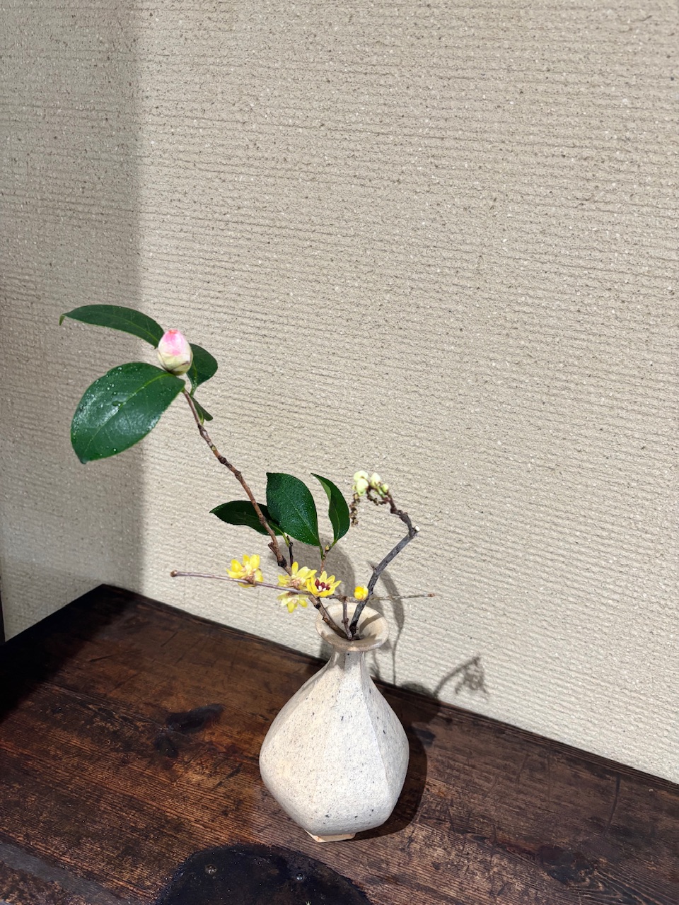 本日のクリニックの花々