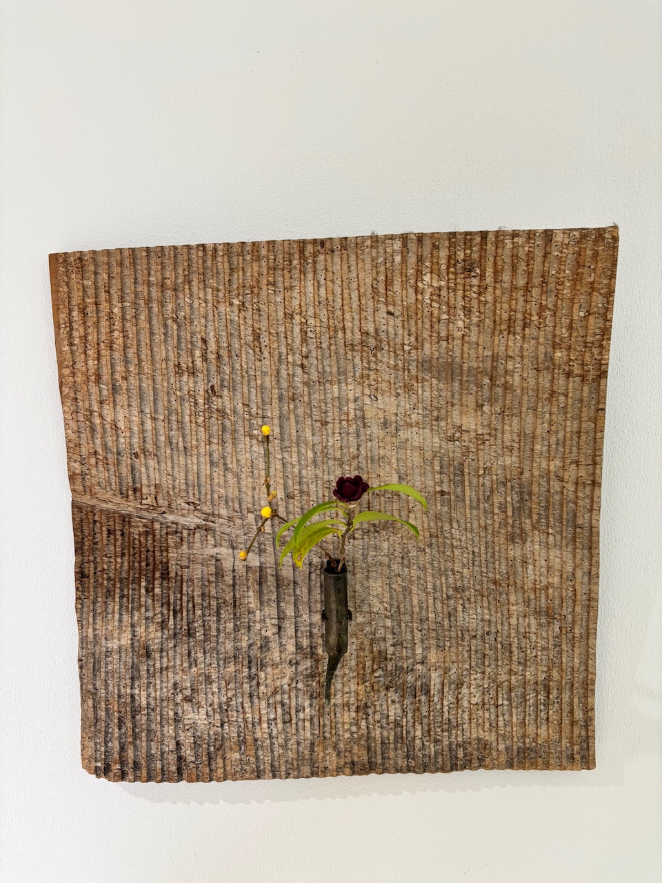 本日のクリニックの花々