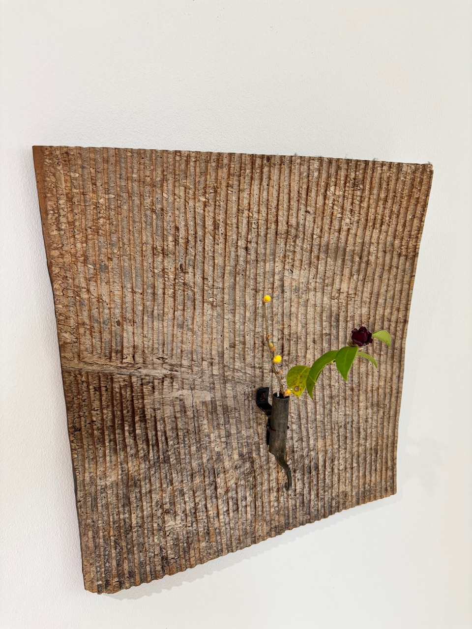 本日のクリニックの花々