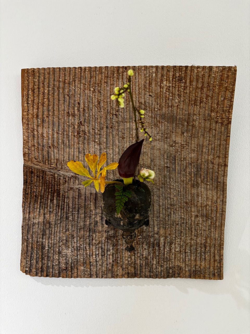 本日のクリニックの花々