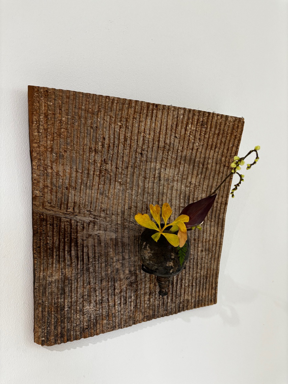 本日のクリニックの花々