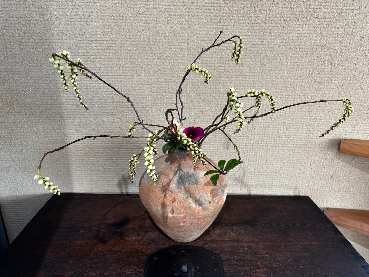 本日のクリニックの花々