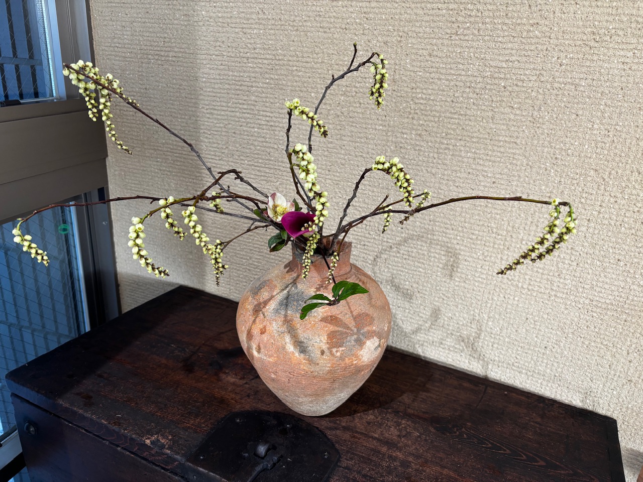 本日のクリニックの花々