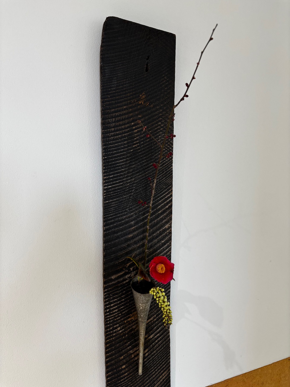 本日のクリニックの花々