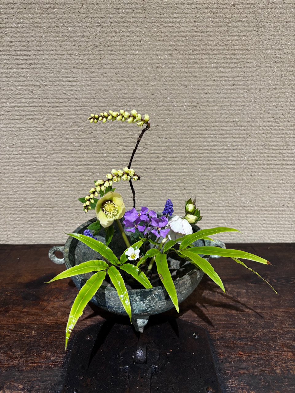 本日のクリニックの花々